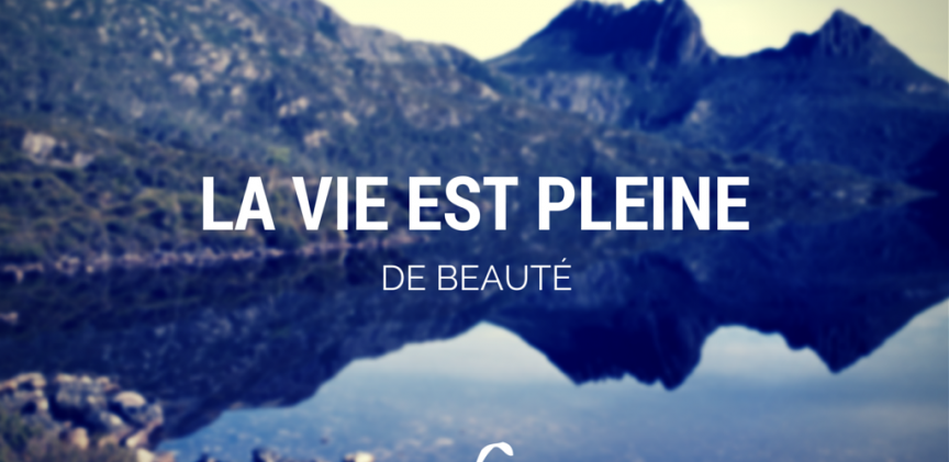 La vie est pleine de beauté blogimage