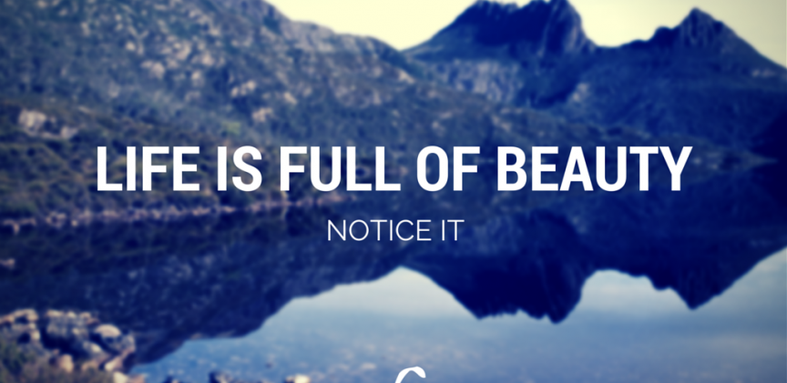 Life is full of beauty blogimage