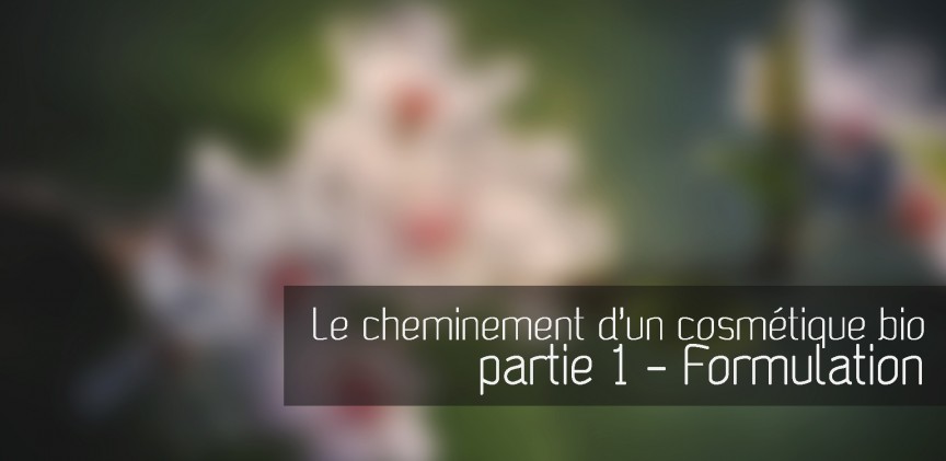 Cheminement d'un cosmétique bio blogimage