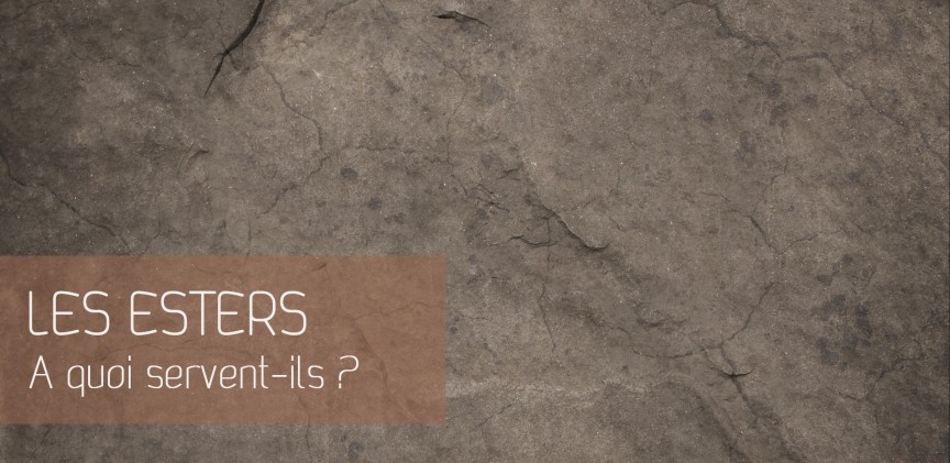 Esters : à quoi servent-ils ? blogimage