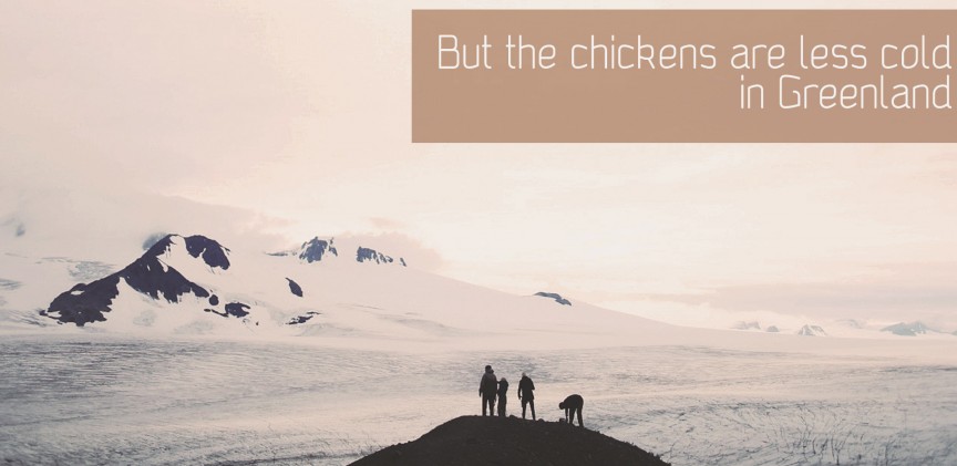 But the chickens are less cold in Greenland blogimage