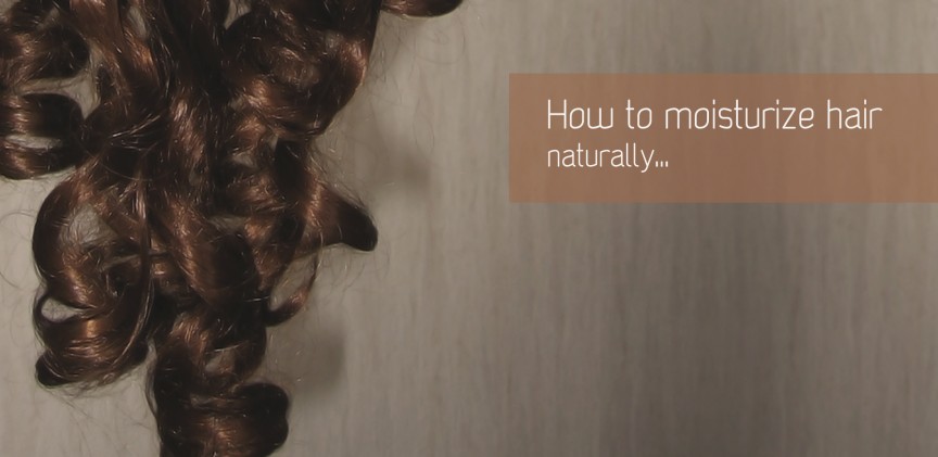 How to moisturize naturally dry hair blogimage