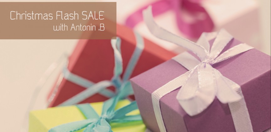 Private Christmas Flash SALE blogimage
