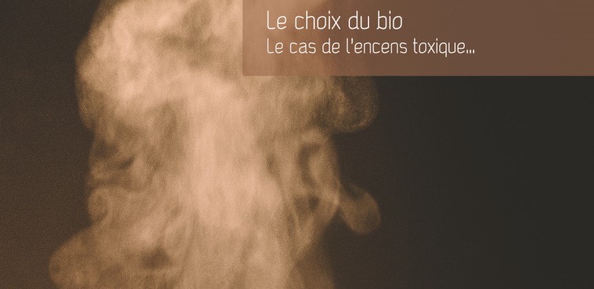 Le choix du bio blogimage