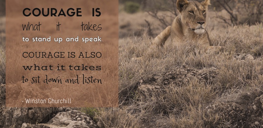 Winston Churchill - Courage blogimage