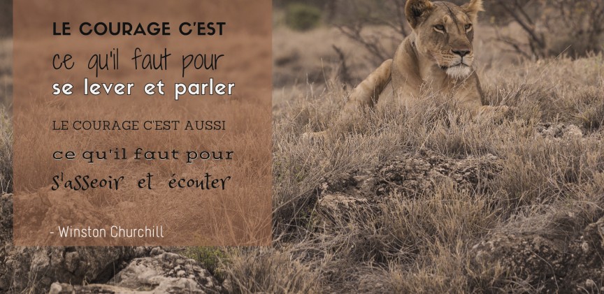 Winston Churchill - Le courage blogimage