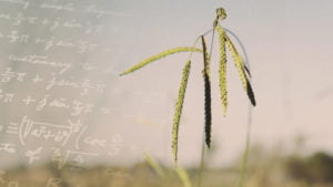 Les formules simples sont-elles un gage d'