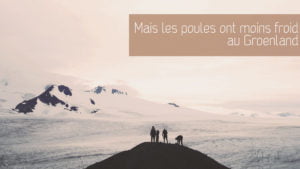 Quand le malheur des uns fait le business des autres