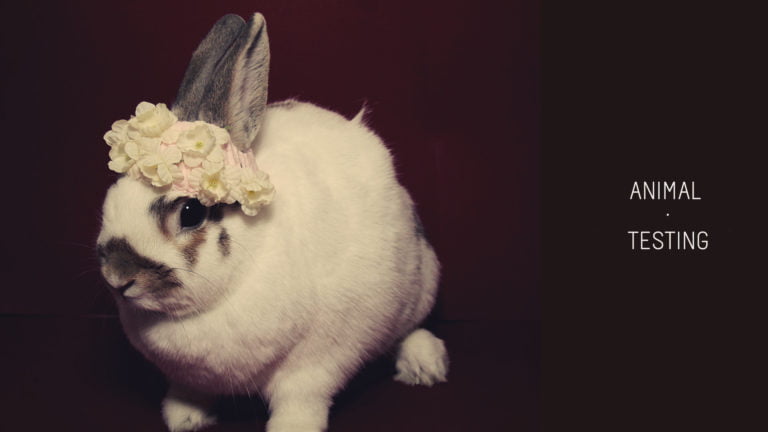 Are your cosmetics tested on animals?