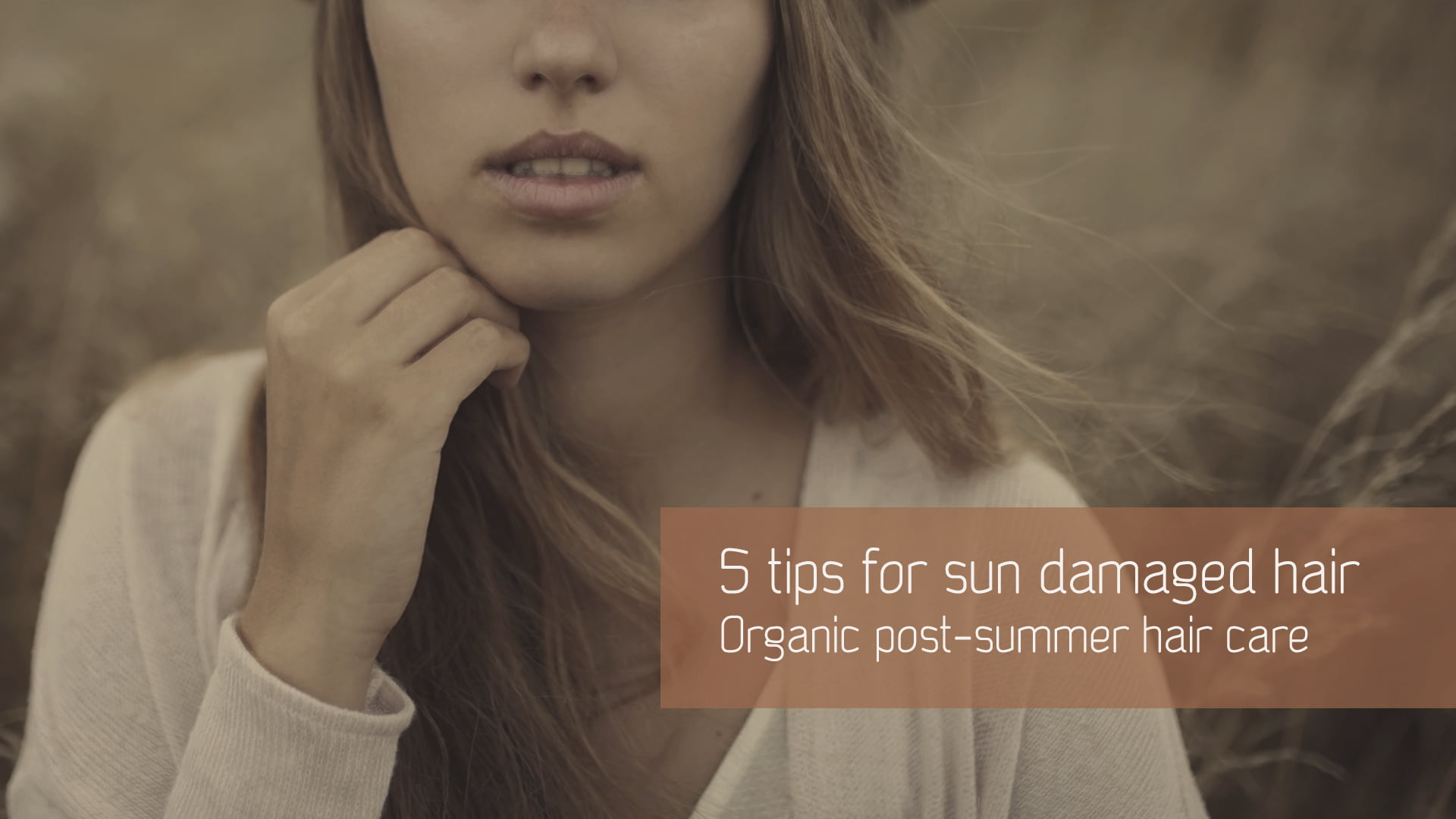 Best Natural Tips Products For Sun Damaged Hair Antonin B
