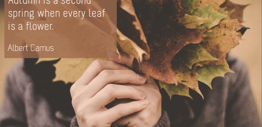 Albert Camus - Autumn blogimage