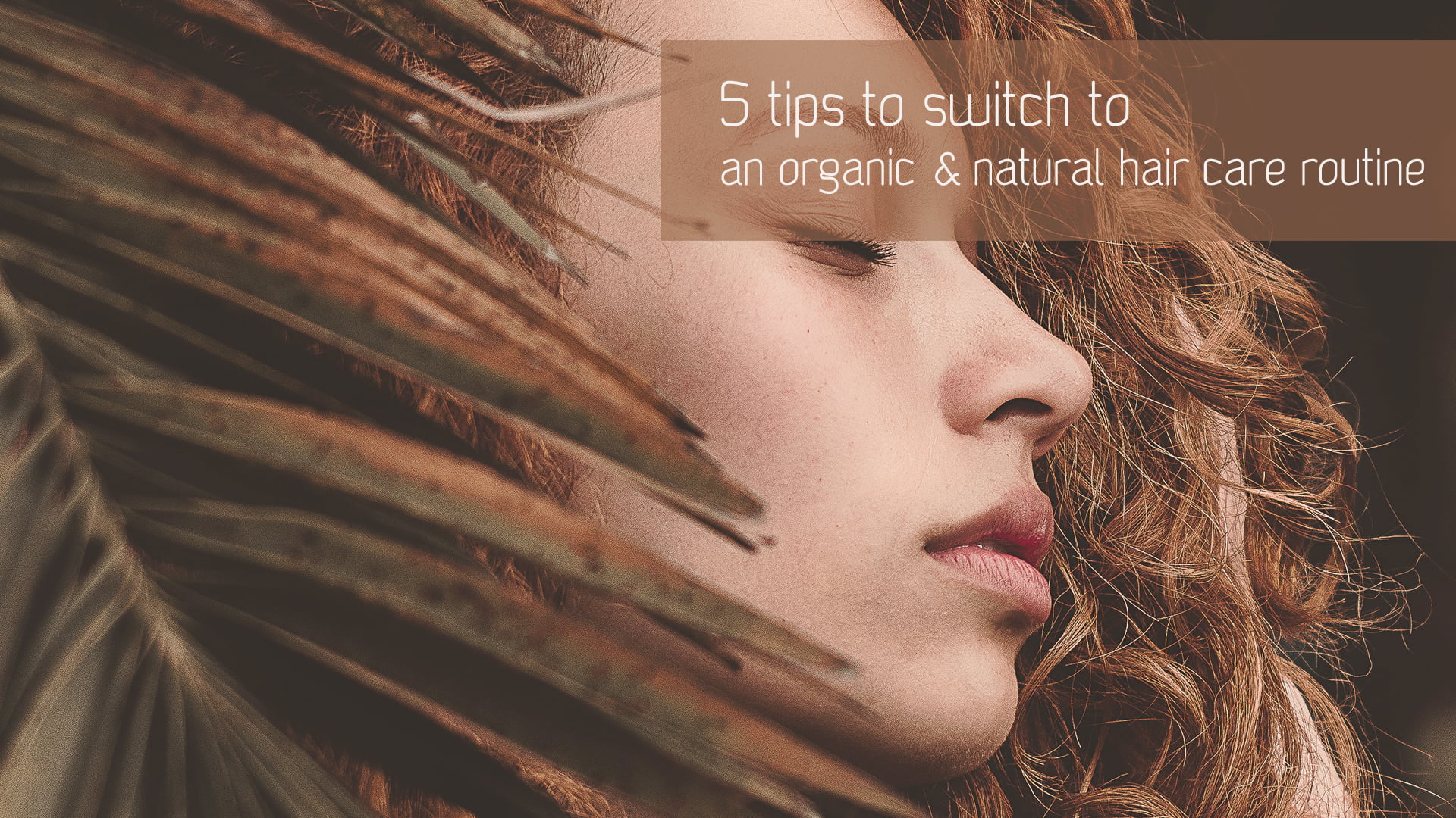 5 Tips To Switch To An Organic Natural Hair Care Routine